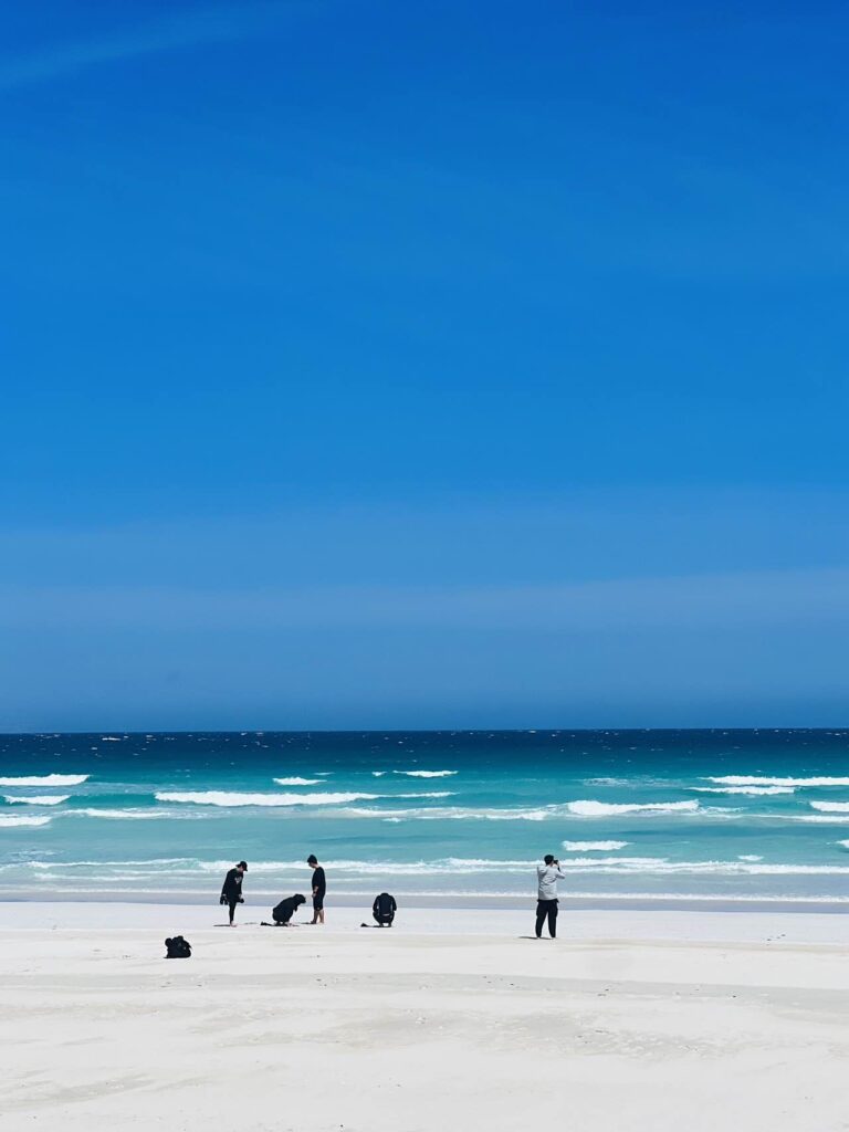 Leo Australia团队在南澳洁白沙滩漫步，碧蓝海水与蓝天背景，南澳海岸休闲体验