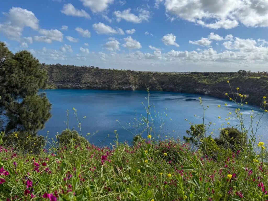 大蓝湖全景与野花，南澳芒特甘比尔火山口湖的绚丽风光与蓝天