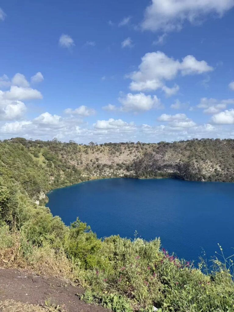 大蓝湖野花前景与深蓝湖水，南澳芒特甘比尔火山湖春夏美景