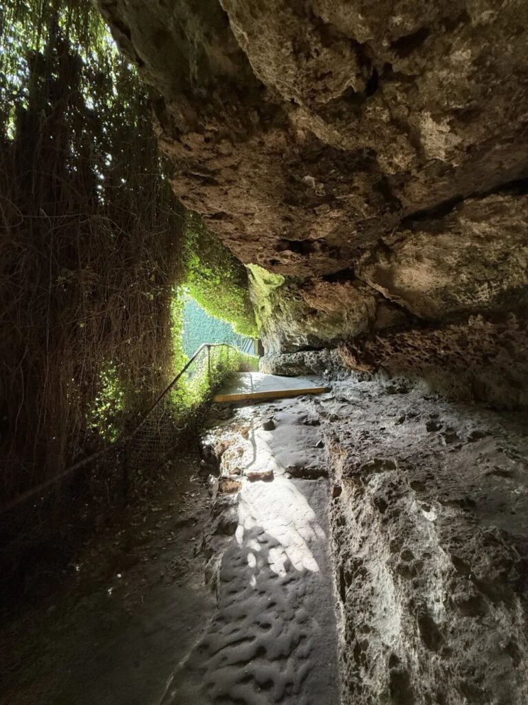 天坑地下花园的石板小径与岩壁通道，洞穴花园内幽深而浪漫的步道