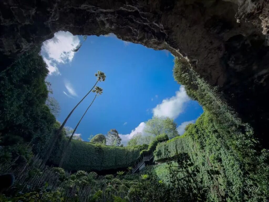 从天坑地下花园底部仰望天空，藤蔓环绕的圆形洞口与蓝天白云