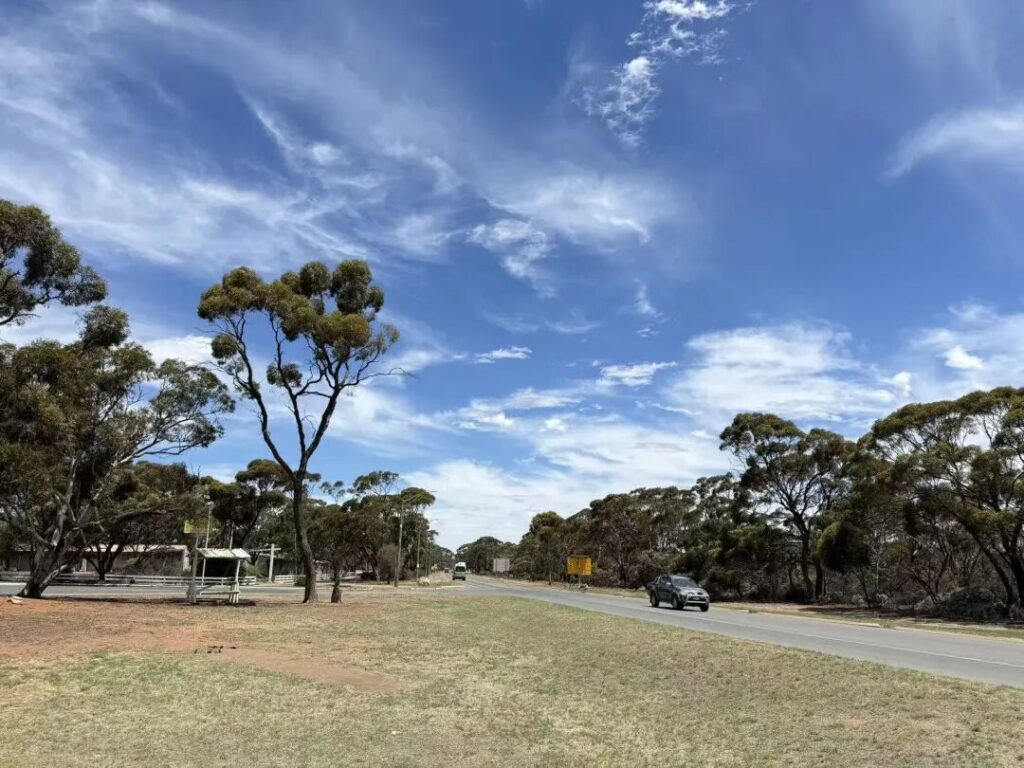 Esperance公路两旁的树木