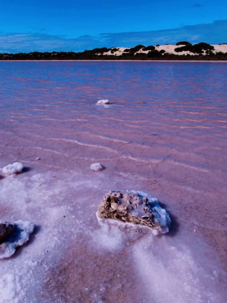 麦克唐纳湖粉湖湖面盐结晶与远处沙丘
